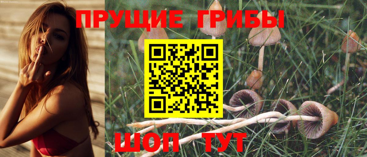 Галлюциногенные грибы MAGIC MUSHROOMS  Вход с VPN  Псилоцибиновые грибы ЛСД  Артём 